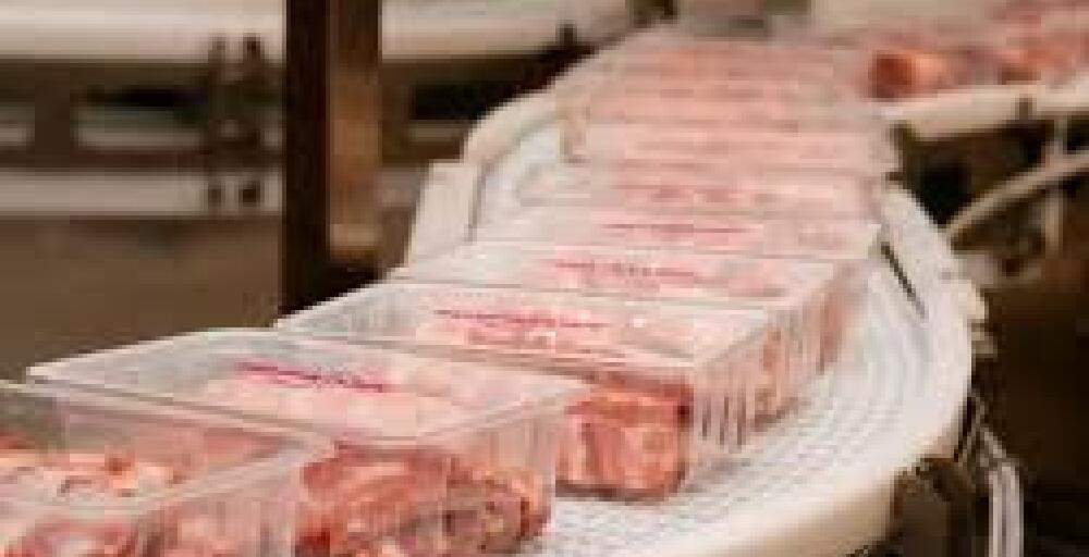 В Абайской области появится комплекс полного цикла мясопереработки