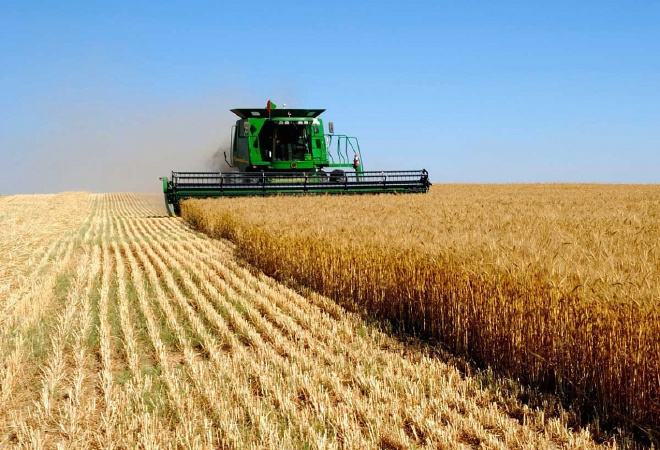 Былтыр шаруаларға 5 млрд теңге субсидия негізсіз берілген