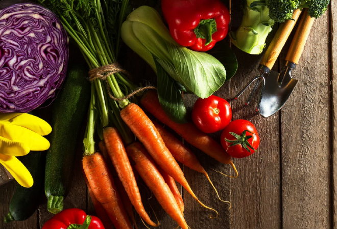 Овощами из южных областей страны стабилизируют цены на продукты в Костанае
