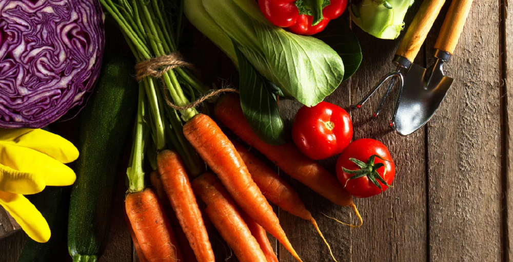 Овощами из южных областей страны стабилизируют цены на продукты в Костанае