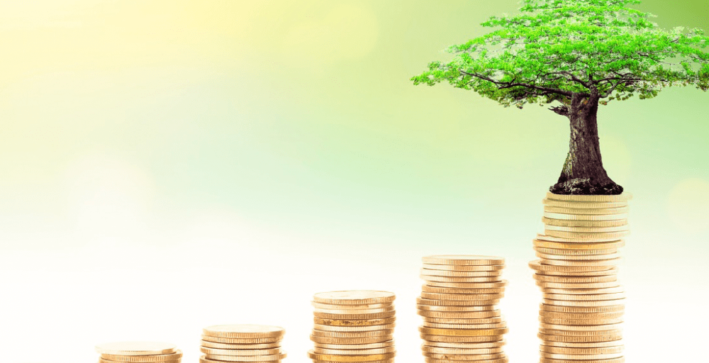 ЖОО-ларда капиталы 50 млрд теңге болатын 5 эндаумент қор құрылады