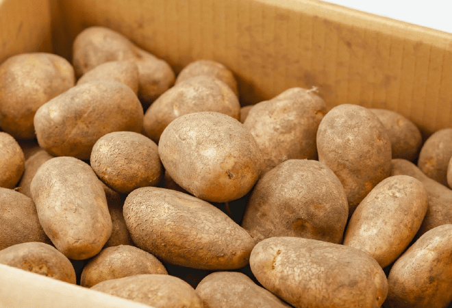 Павлодарда тұрақтандыру қорына 10 мың тонна картоп пен 3 мың тонна сәбіз салынады