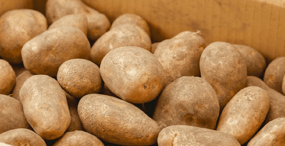 Павлодарда тұрақтандыру қорына 10 мың тонна картоп пен 3 мың тонна сәбіз салынады