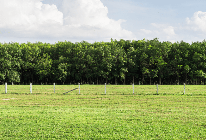 Қайтарылған 6,2 млн гектар жер ұқыпты игерушілерге берілді 