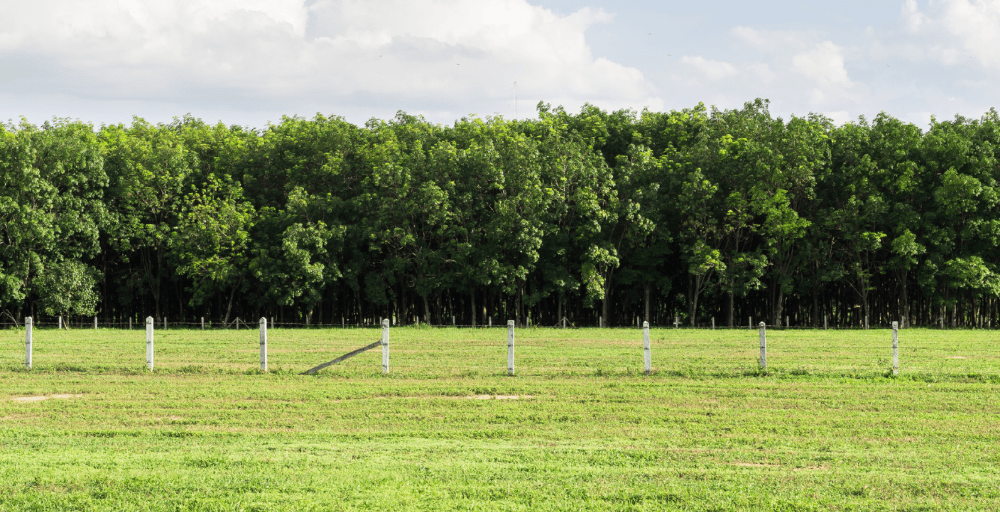 Қайтарылған 6,2 млн гектар жер ұқыпты игерушілерге берілді