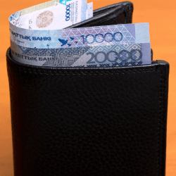 Депутаттар ең төменгі жалақының мөлшерін көтеруді ұсынды 