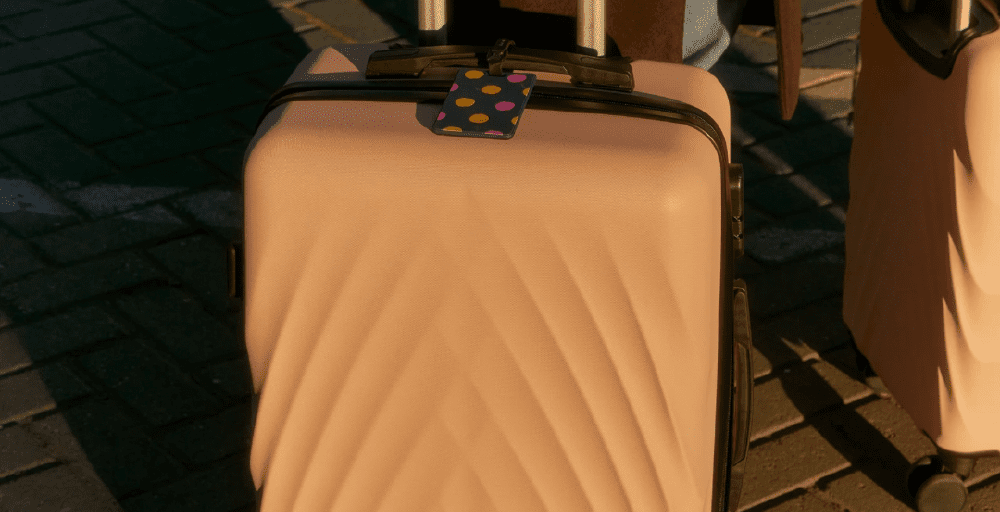 Жыл басынан бері 11 мыңнан астам этникалық қазақ қандас мәртебесін алды