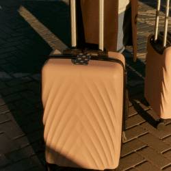 Жыл басынан бері 11 мыңнан астам этникалық қазақ қандас мәртебесін алды