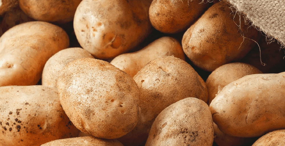 Картоп тапшылығы болмайды - АШМ