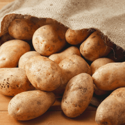 Картоп тапшылығы болмайды - АШМ