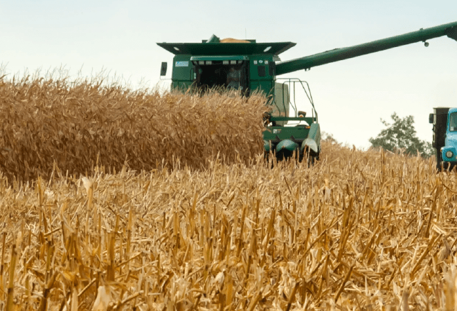 Правительство РК подведет итоги уборочной кампании