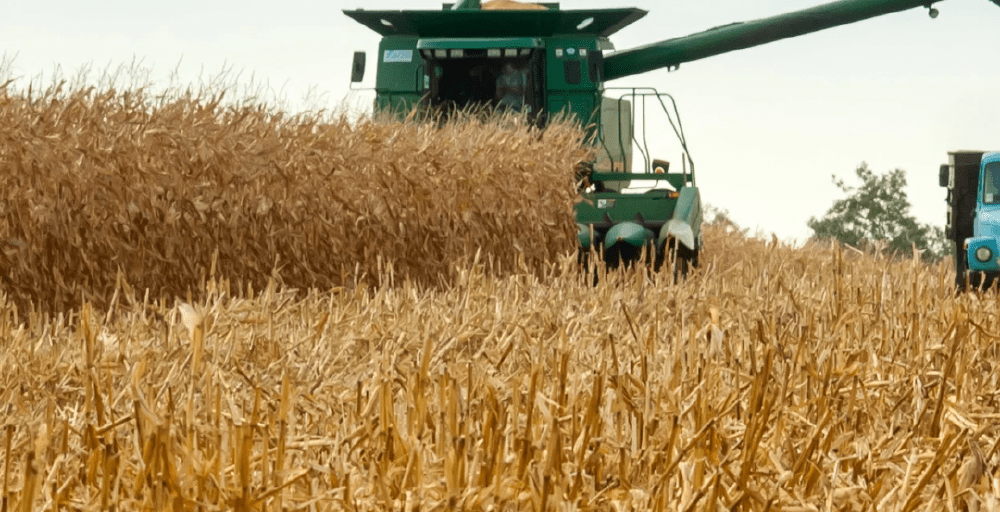 Правительство РК подведет итоги уборочной кампании