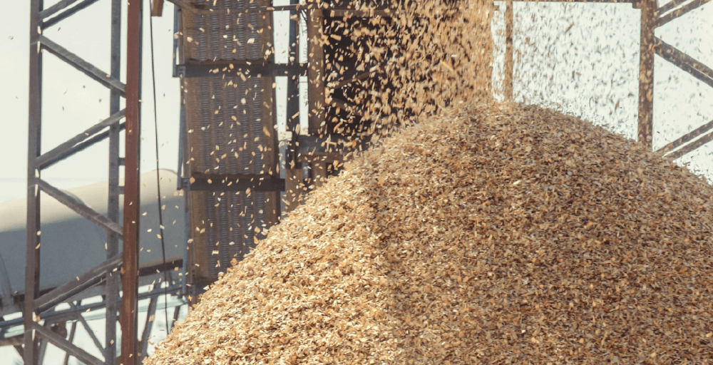 Казахстан отправил первую партию пшеницы в Армению 