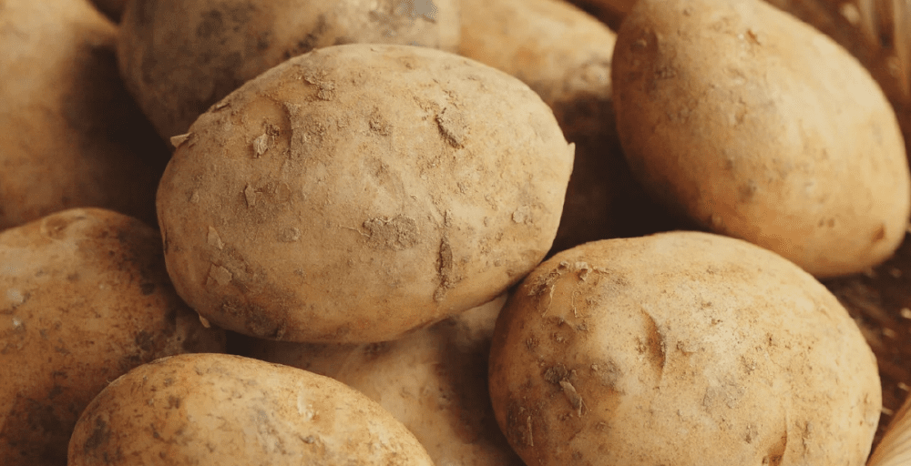 Почти на 2% до 188 тенге/кг подорожал за неделю картофель в Казахстане