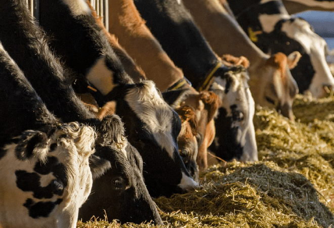 Рост валовой сельхозпродукции вырос в Казахстане на 5,4%