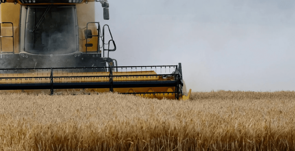 Ақмола облысында рекордтық көлемде астық жиналды 