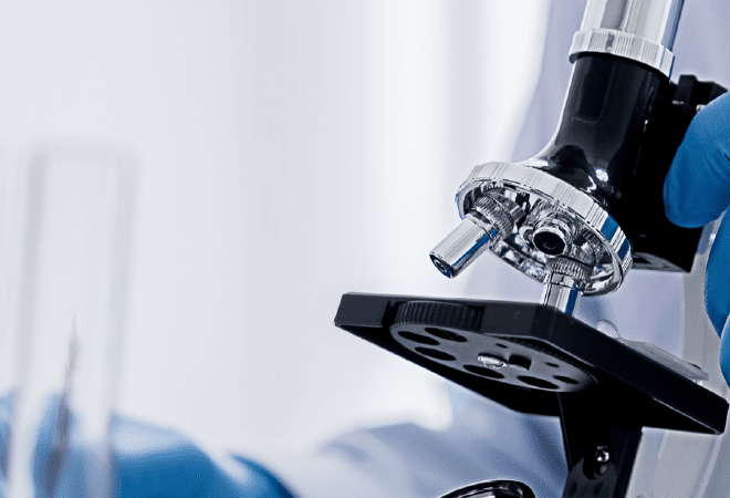 Казахстанские ученые нашли способ экономии воды с помощью защиты семян