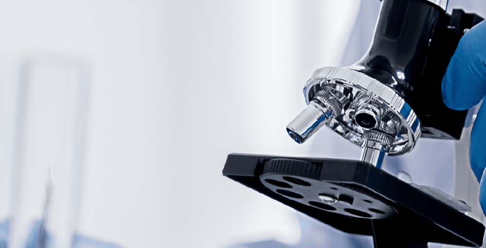 Казахстанские ученые нашли способ экономии воды с помощью защиты семян