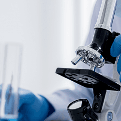 Ғалымдар тұқымдарды қорғаудың тиімді жолын тапты 