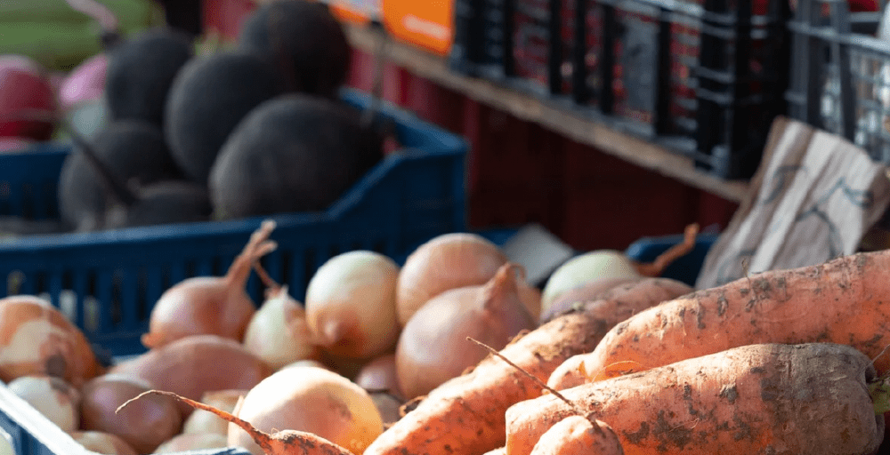 Биыл қазақстандықтар ауыл шаруашылығы жәрмеңкелерінен 7,9 мың тонна өнім сатып алған 