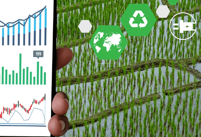 Айдарбек Сапаров ауыл шаруашылығы саласында іске қосылатын ірі жобаларды атады 