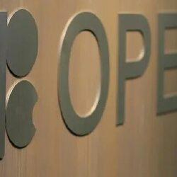 Казахстан утвердил условия сотрудничества с фондом OPEC 