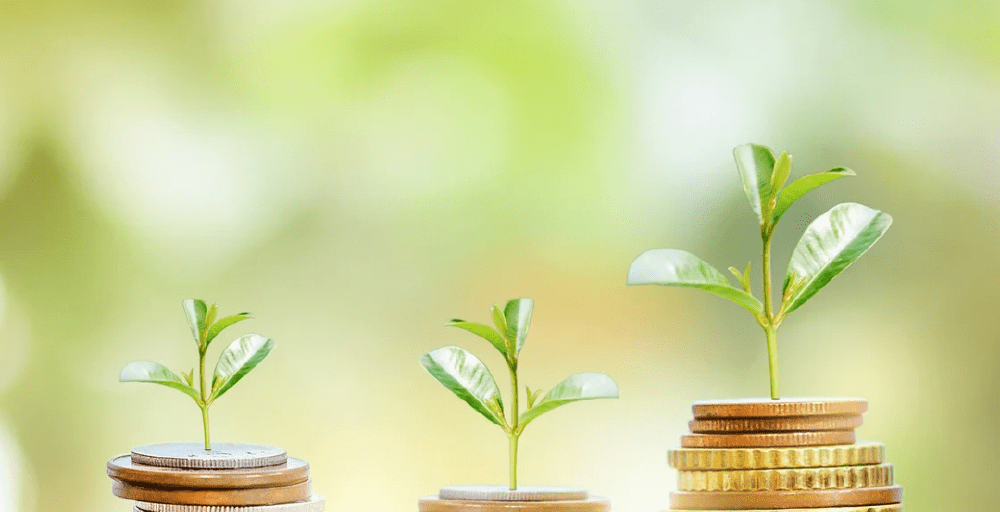 Солтүстік Қазақстан облысы 900 млрд теңгеге жуық инвестиция тартты 