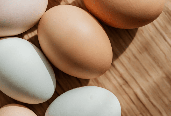 Запрет на месяц на ввоз куриных яиц ввел Казахстан