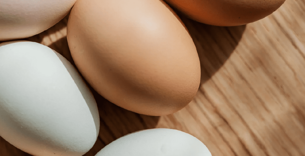 Запрет на месяц на ввоз куриных яиц ввел Казахстан