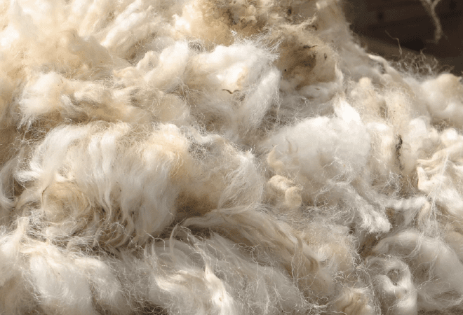 Новый завод за 5,3 млрд тенге по переработке шерсти запустили на западе Казахстана