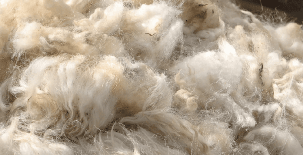 Новый завод за 5,3 млрд тенге по переработке шерсти запустили на западе Казахстана