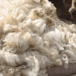 Новый завод за 5,3 млрд тенге по переработке шерсти запустили на западе Казахстана