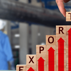 Беспошлинный режим и рост экспорта: что даст Казахстану соглашение ЕАЭС с Индонезией