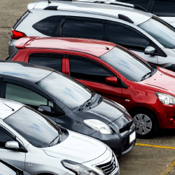 Казахстан стал первым по количеству импортированных автомобилей из Грузии