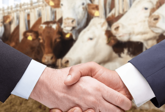 Казахстан открывает новые рынки для экспорта животноводческой продукции