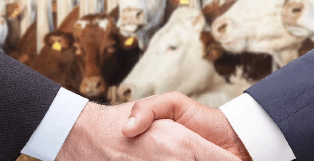 Казахстан открывает новые рынки для экспорта животноводческой продукции