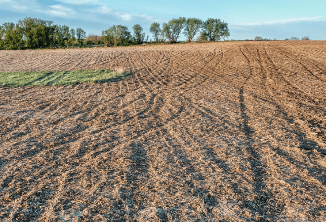 Шымкентте мемлекет меншігіне өткен 321 жер учаскесі үшін 7,5 млрд теңге төленді  