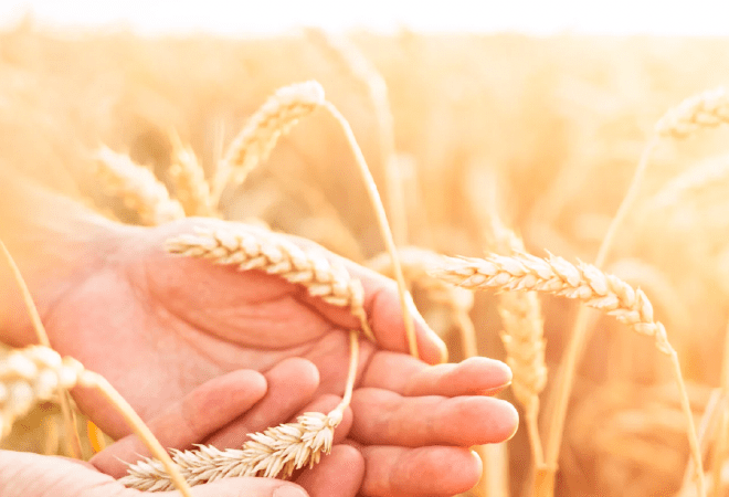 2025 жылы аграршыларды форвардтық қаржыландыруға 30 млрд теңге бөлінді 