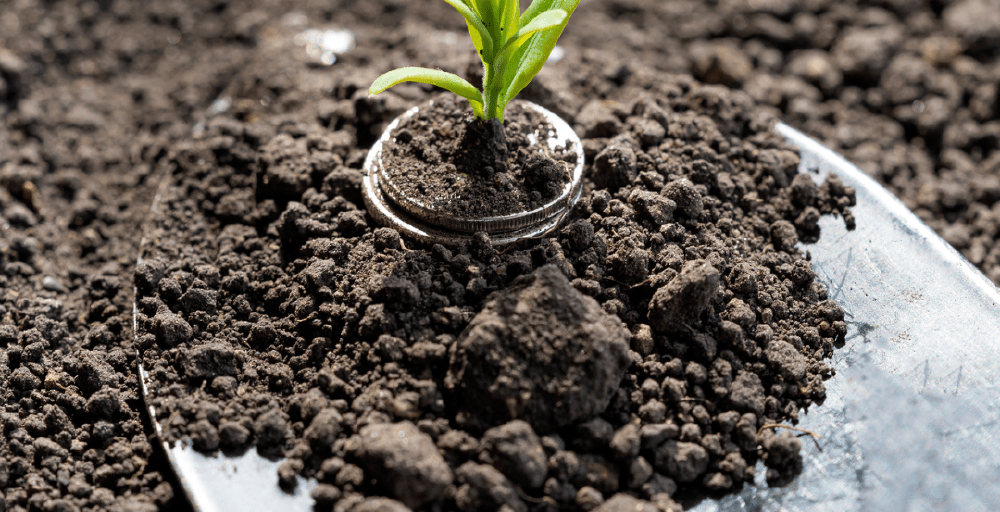 Аграрии Казахстана получили рекордный триллион тенге льготных кредитов в 2025 году