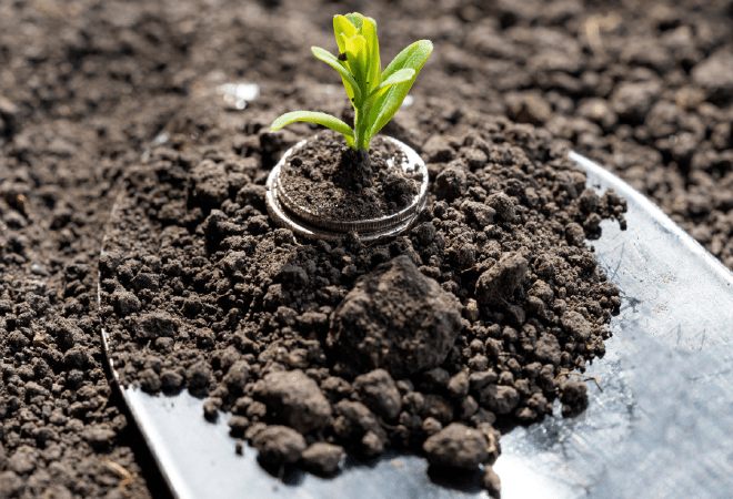 Аграрлық саладағы негізгі капиталға құйылған инвестиция 790 млрд теңгеге жетті  