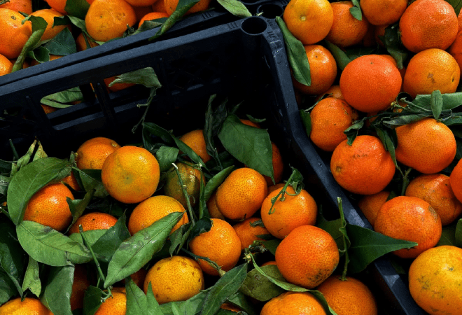 Қазақстан 2025 жылы мандариндердің рекордтық көлемін импорттады