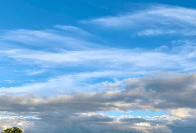 Ақмола облысында 82 млн теңгеге бағаланған жер мемлекетке қайтарылды 