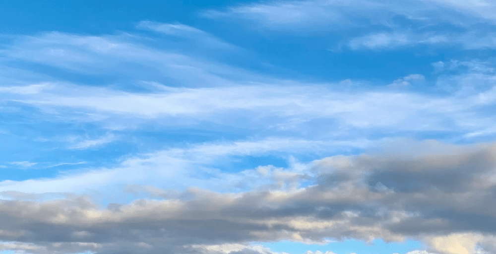 Ақмола облысында 82 млн теңгеге бағаланған жер мемлекетке қайтарылды 