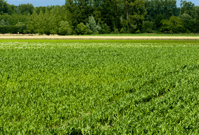Жетісу облысындағы жер учаскелері мемлекет меншігіне қайтарылды
