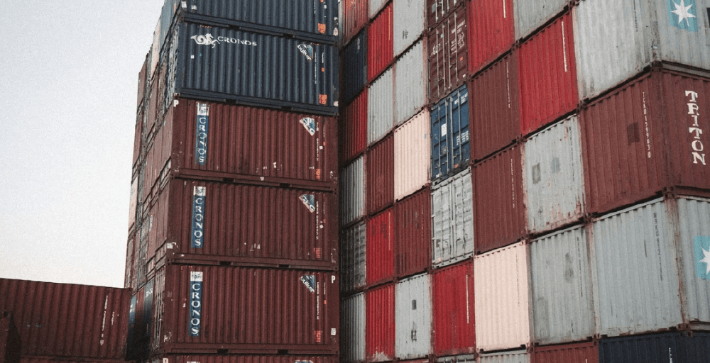 Экспорт зерна и мяса из Казахстана в ОАЭ планируют расширить