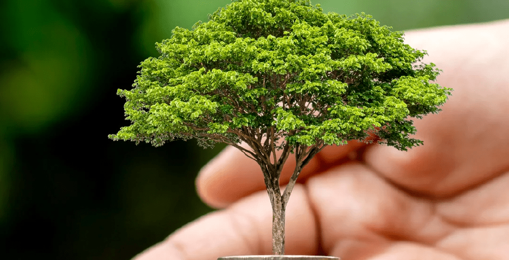 Объем инвестиций в Казахстане планируется увеличить втрое