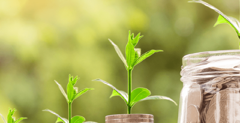 Новые инвестсоглашения прорабатываются в здравоохранении, строительстве и логистике