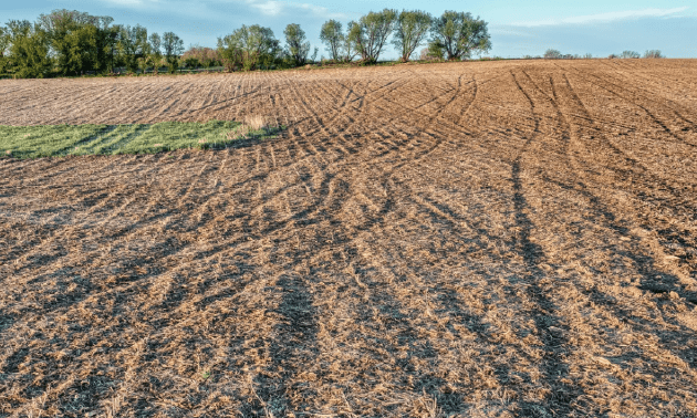 Земельный участок площадью 275 га вернули в госсобственность в Жамбылской области