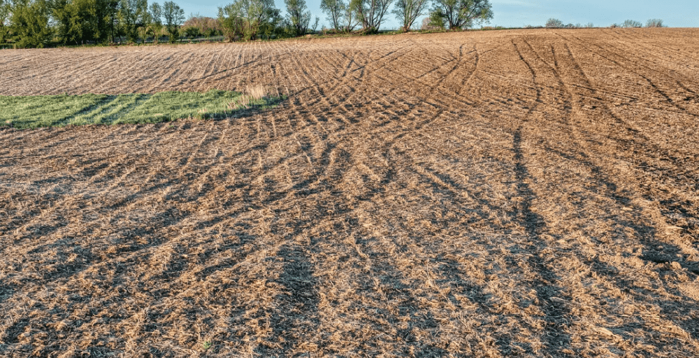 Земельный участок площадью 275 га вернули в госсобственность в Жамбылской области