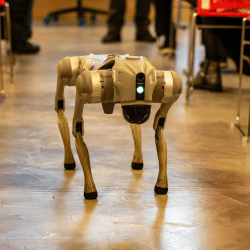 ШҚО-да полицияға 1,8 млрд теңгеге сапер-робот сатып алынады 